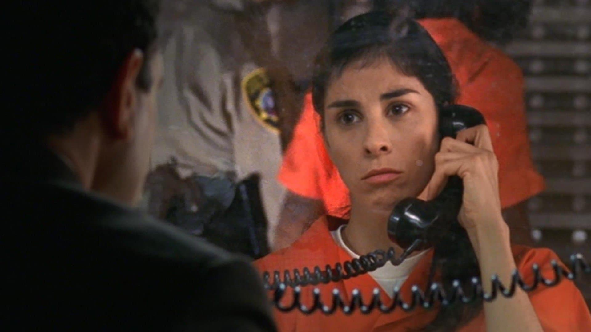 Mr. Monk and the TV Star