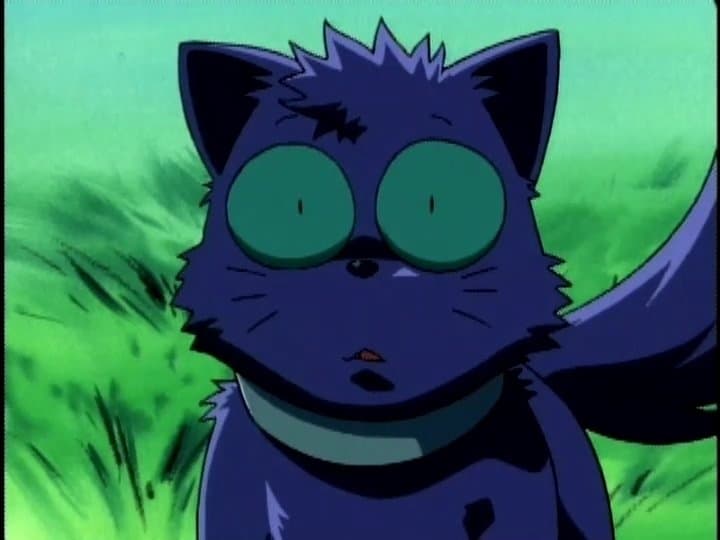 Leki's Big Adventure