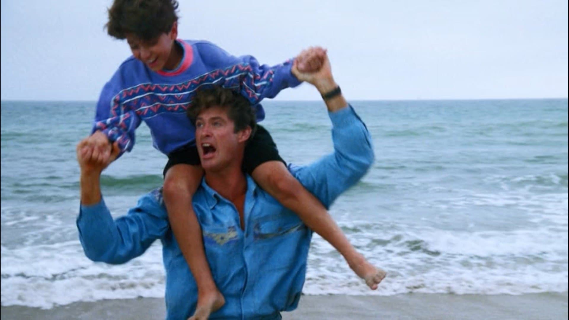 The Fabulous Buchannon Boys