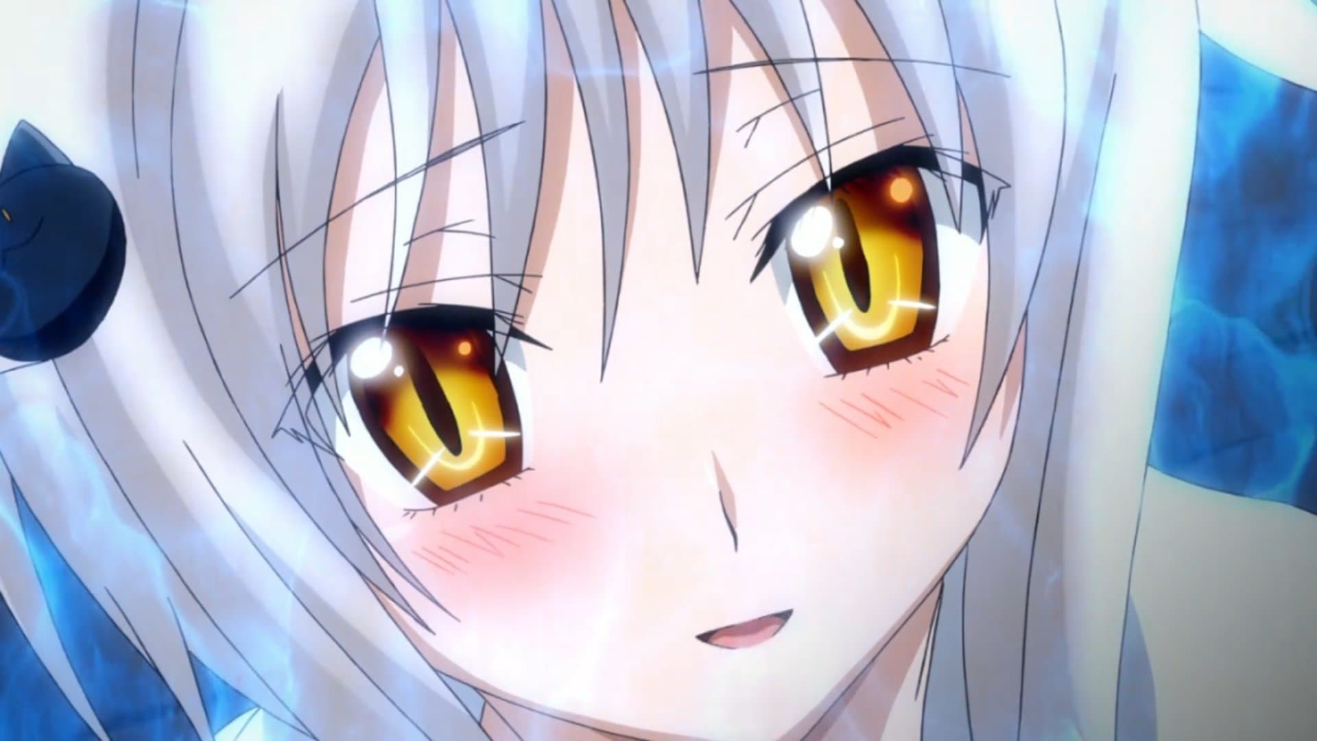 Koneko's Senjutsu Treatment ~Meow