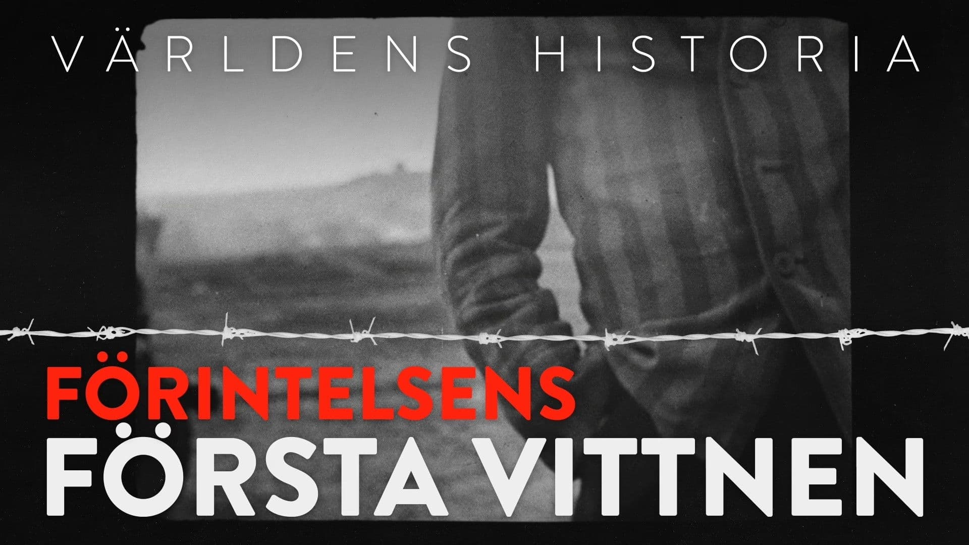 The first witnesses of the Holocaust