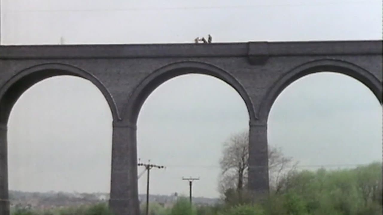 Here We Go Into The Wild Blue Yonder