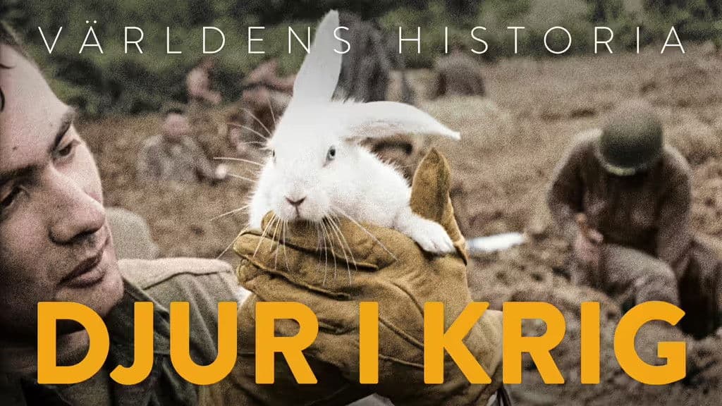 Animals in War Part 2