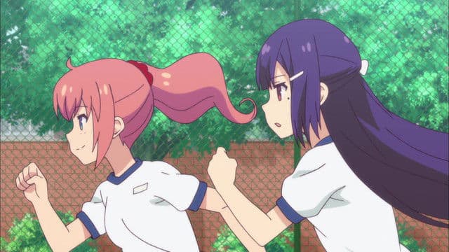 The Moonlit Night and the Hedgehog