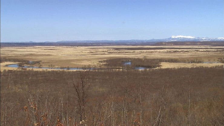 Kushiro Wetland