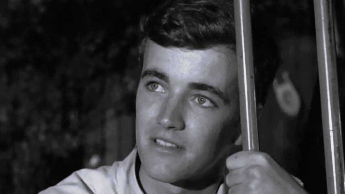 Across Walnuts and Wine