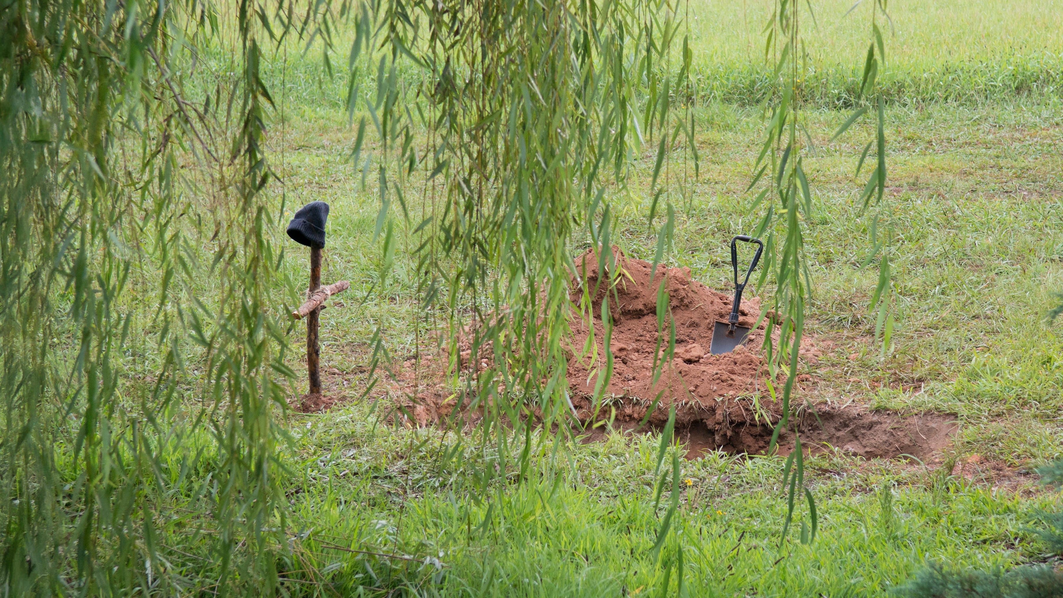 What Happened and What's Going On