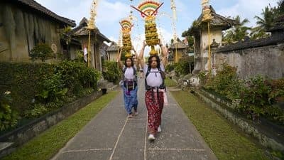 There's No Addresses in the Jungle